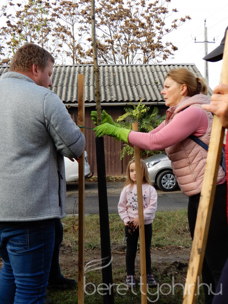 Közösségi faültetés Berettyóújfaluban 25